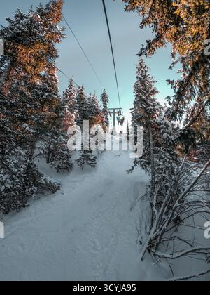 Blick auf einen Sessellift auf einen schneebedeckten Hang, umgeben von hohen, schneebedeckten Kiefern Stockfoto