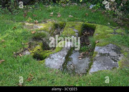 Felsgräber und Kreuzpfosten in der St. Patrick's Chapel, Heysham Lancashire, Großbritannien Stockfoto
