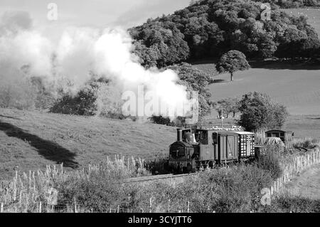 Der Earl in der Coppice Lane, zwischen Sylfaen und Castle Careinion. Stockfoto