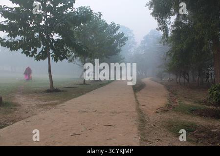 Eine Frau in einem dunkelrosa Saree spaziert an einem Wintermorgen im Zentrum von Delhi durch die von Bäumen gesäumten Rasenflächen des Nehru Park. Stockfoto