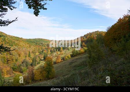 Blick über die Hundert-Morgen-Wiese beim Elsbach am 19.10.2025 auf den herbstlich bunten Wald bei Zorge, Landkeis Göttingen im Südharz in Niedersachsen, Deutschland Blick über die Hundert-Morgen-Wiese am Elsbach am 19. Oktober 2025 in den bunten Herbstwald bei Zorge, Landkreis Göttingen im Süden des harzes, niedersachsen Stockfoto