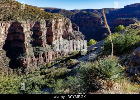 Salt River Canyon, zerklüftete Wüstenschlucht, die vom Salt River gemeißelt wurde, Tonto National Forest, Arizona, USA. Stockfoto