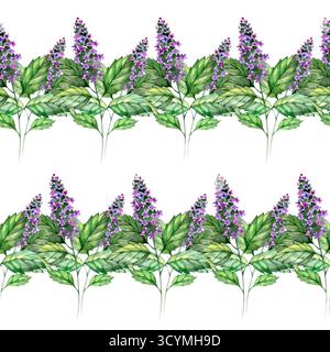 Nahtloser Rand aus Patchouli in Aquarellfarben, botanische Illustration handgezeichnet Stockfoto