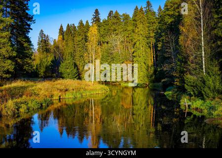 Ruhiger Fluss, der sich durch einen Herbstwald schlängelt Stockfoto