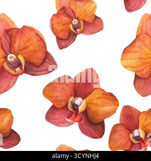 Orangenorchideenphalaenopsis. Aquarellillustration auf transparentem Hintergrund, handgezeichnet. Nahtloses Muster für Tapeten und Textilien. Stockfoto
