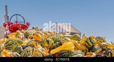 Wagen voller Kürbisse an einem Stand der Wassermühlenfarm Stockfoto