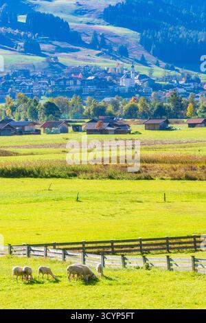 Dorf und Kirche Lermoos, Wiesen, Scheunen Lermoos Tiroler Zugspitz Arena Tirol, Tirol Österreich Stockfoto