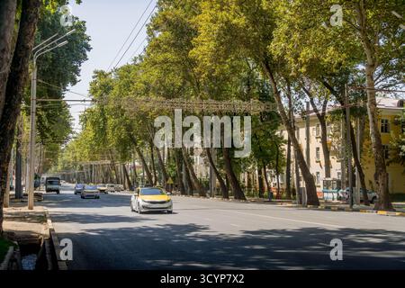 Schattige Straße entlang der Rudaki Avenue, Duschanbe, Tadschikistan, mit Wohnhäusern, vorbeifahrenden Autos und einem prominenten gelben Taxi an einem sonnigen Tag. Stockfoto