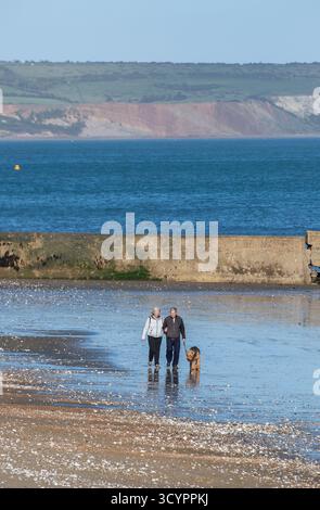 Ein Paar spaziert mit einem größeren Hund entlang eines einsamen Strandes auf dem nassen Sand bei Ebbe. Mann und Frau gehen Hund am ruhigen Strand auf der isle of wight, Großbritannien Stockfoto
