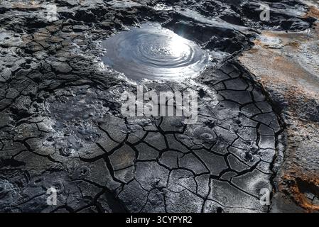 Sprudelndes geothermisches Schlammbecken am Hverir Namaskard nahe Lake Myvatn Stockfoto
