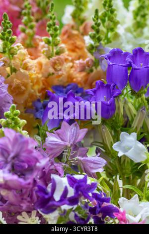 Nahaufnahme von frisch geschnittenen pastellfarbenen Frühlingsblumen. Wunderschönes Delphinium, canterbury Glocken und Schnappdrachen. Details der Blüten. Stockfoto
