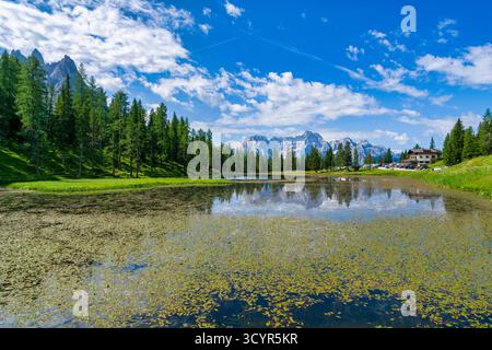 Wasseroberfläche des Antorno-Sees mit den Bergen, die sich von Ententkräutern reflektieren Stockfoto