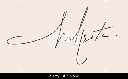 Gefälschtes Autogramm, handgezeichnetes Signature-Doodle-Sketch-freies Handschreiberzeichen. Beispiel für Tintennamen für Vertrag, Zertifikat, Schriftart mit Scribble-Zeile. Vektorabbildung Stock Vektor