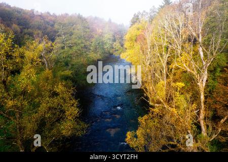 Wunderschöner Krka Fluss im Morgennebel umgeben von wunderschönen Bäumen im Herbstlaub, Blick aus der Luft auf einen Fluss und wunderschöne Farben des Herbstwaldes Stockfoto