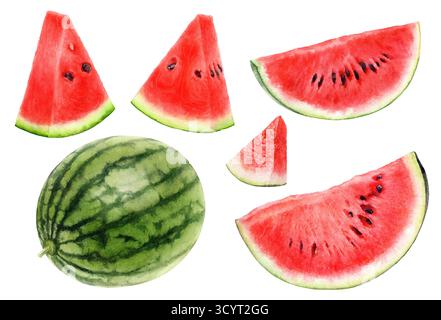Aquarellillustration von Wassermelonenfrüchten isoliert auf weißem Hintergrund Stockfoto