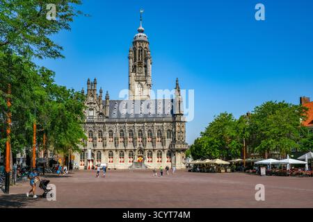 02.07.2025, Niederlande, Zeeland, Middelburg - Stadhuis Middelburg. Das Rathaus auf dem Marktplatz in der Altstadt ist ein Wahrzeichen und Symbol der Stockfoto