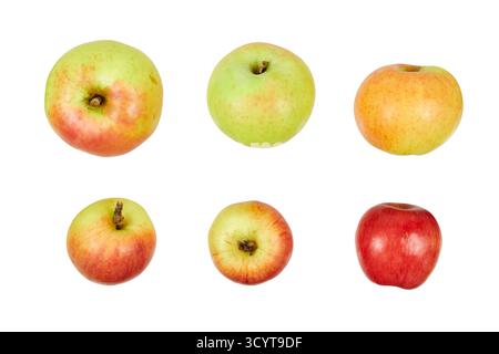 Set von roten und grünen Äpfeln isoliert auf weiß Stockfoto