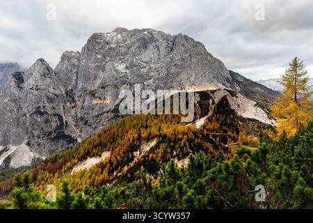 Wunderschöner Vrsic Pass in wunderschönen Herbstfarben über kranjska Gora in slowenien, goldene Lärchen und spektakuläre julianische alpen Stockfoto