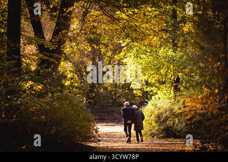 Berlin, Deutschland. Oktober 2025. Ein älterer Mann und eine Frau machen einen Spaziergang durch einen Park in der Morgensonne, fotografiert in Berlin, 20. Oktober 2025. Quelle: dpa/Alamy Live News Stockfoto