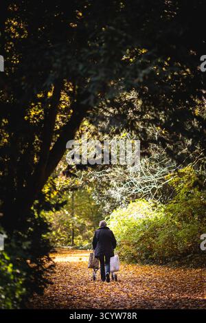 Berlin, Deutschland. Oktober 2025. Eine Seniorin macht einen Morgenspaziergang durch einen Park, fotografiert in Berlin am 20. Oktober 2025. Quelle: dpa/Alamy Live News Stockfoto