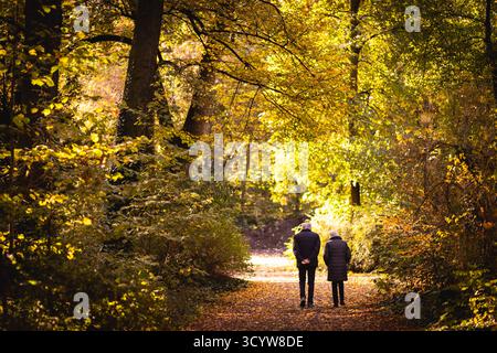 Berlin, Deutschland. Oktober 2025. Ein älterer Mann und eine Frau machen einen Spaziergang durch einen Park in der Morgensonne, fotografiert in Berlin, 20. Oktober 2025. Quelle: dpa/Alamy Live News Stockfoto