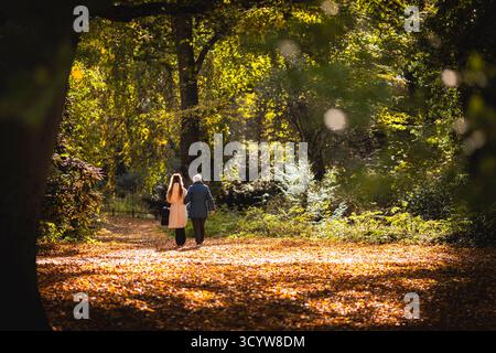 Berlin, Deutschland. Oktober 2025. Eine junge Frau und eine Seniorin machen einen Morgenspaziergang durch einen Park, fotografiert in Berlin am 20. Oktober 2025. Quelle: dpa/Alamy Live News Stockfoto