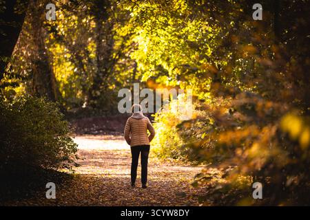 Berlin, Deutschland. Oktober 2025. Eine Seniorin macht einen Morgenspaziergang durch einen Park, fotografiert in Berlin am 20. Oktober 2025. Quelle: dpa/Alamy Live News Stockfoto