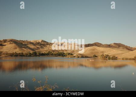 Die Golden California Hills spiegeln sich im ruhigen Wasser des Contra Loma Reservoir unter dem Licht des späten Nachmittags und fangen die Wärme und Stille des ein Stockfoto