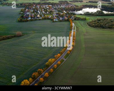 Die gewundene Landstraße, gesäumt von lebhaften Herbstbäumen, führt durch grüne Felder und führt das Auge in Richtung eines friedlichen Dorfes in der Nähe eines reflektierenden L Stockfoto
