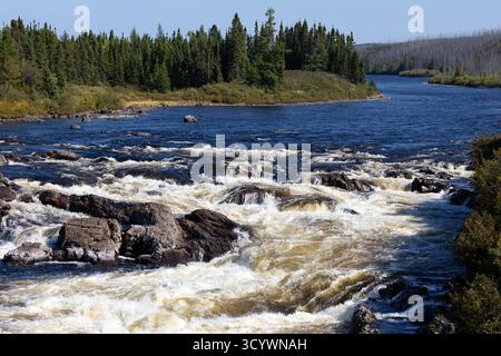 Der Hart-Jaune River stürzt über Felsen und Stromschnellen durch den abgelegenen Küstenwald im Norden von Québec Stockfoto