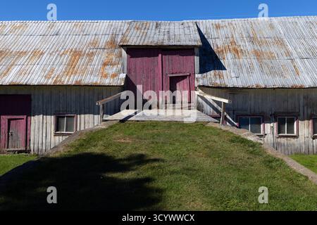 Eine alte Holzscheune mit verblassten roten Türen und einem rostigen Blechdach steht unter einem klaren blauen Himmel in Quebec. Stockfoto