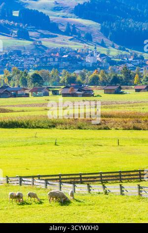 Lermoos: Dorf und Kirche Lermoos, Wiesen, Scheunen in der Tiroler Zugspitz Arena, Tirol, Tirol, Österreich Stockfoto
