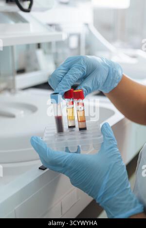 Labortechnikerin, die Reagenzgläser mit Blutproben in einem biochemischen Zentrifugenanalysator platziert. Wissenschaft und Medizin. Stockfoto
