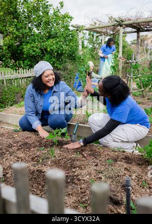 Verschiedene Freiwillige knieten im Gemeindegarten, Pflanzen Setzlinge und High-Fiving im Hochbeet Stockfoto