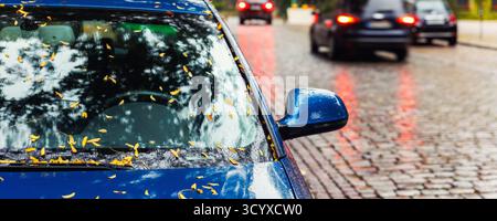 Moody, malerischer Blick auf die Frontscheinwerfer modernes weißes Auto Windschutzscheibe bedeckt goldene gelbe gefallene Blätter geparkt nasse Stadt Straße Herbst regnerischer Tag. Bewölkt Stockfoto