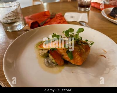 Gebratenes Lachsfilet kunstvoll mit frischem Mikrogrün, Zitronenschale und Gemüse in einer leichten Sauce serviert auf einem weißen Teller in einem Restaurant Stockfoto