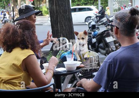 Süßer Hund mit Händlerlotterie Stockfoto