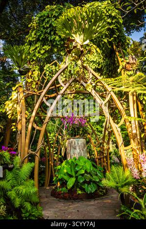 Singapur - 20. Oktober 2018: Orchideenausstellung im Botanischen Garten von Singapur, einem UNESCO-Weltkulturerbe. Stockfoto