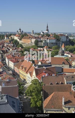 Altstadt, Panorama, Toompea Cathedral Hill hinten, Tallinn, Estland Stockfoto