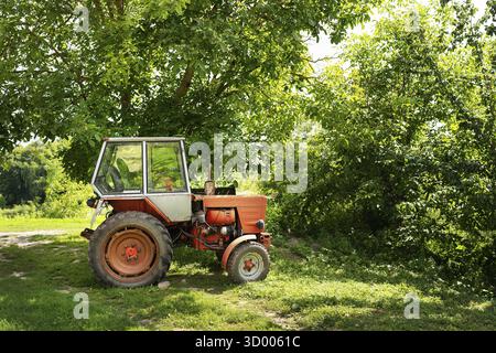 Ein roter Vintage-Traktor, der an einem sonnigen Tag unter einem üppigen grünen Baum geparkt wird und die ländliche und landwirtschaftliche Landschaft zeigt Stockfoto