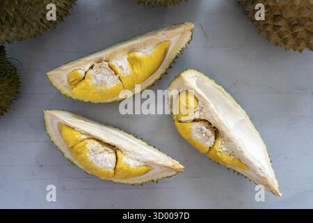 Malaysia berühmte Früchte Durian Musang King, süßes goldenes cremiges Fleisch Stockfoto