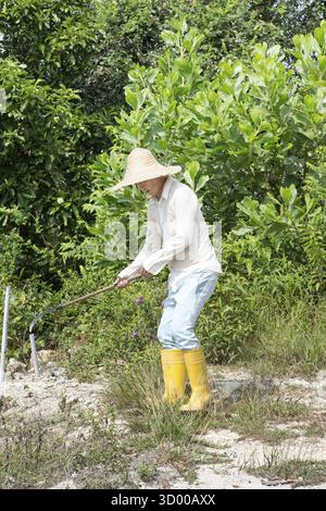 Asiatischer Landwirt, der Land rodet Stockfoto