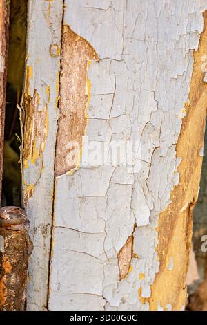 Nahaufnahme der abblätternden, rissigen Farbe auf einer alten verwitterten Holzoberfläche, die Textur, Verfall und natürliche Alterungsdetails zeigt. Perfekt für Hintergründe, Over Stockfoto