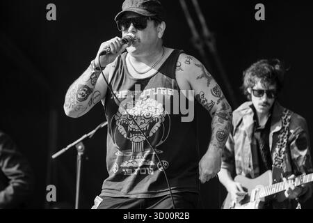 WARMDUSCHER, KONZERT, 2025: Craig Higgins (Cams Baker Jr.) von der Rockband Warmduscher spielt auf der Bergbühne. Brecon, Wales, Großbritannien, 17. August 2025. Das Green Man Festival 2025. Foto: Rob Watkins/Alamy Live News. INFO: Warmduscher ist eine 2014 in London gegründete Band, die Funk, Punk und verschlafenen Rock mit surrealem Humor verbindet. Bekannt für wilde Live-Shows, sorgt der krasselige Sound für Chaos und Groove. Stockfoto