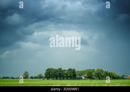 Sonnendurchfluteter Vordergrund mit grünem Grasland, Bäumen und Häusern, unter einem dramatischen dunklen Himmel, wenn sich ein Sturm nähert. Stockfoto