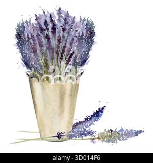 Wildes Lavendelstrauß in Metallspitze Cachepot, lavandula Blütenstiele Stiele. Isolierte Illustration handgezeichnet in Aquarell, lose Stil. Eco Stockfoto