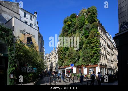 Frankreich, Region Ile de France, Paris 2. Arrondissement, Rue d'Aboukir, Rue des Petits Carreaux, die vegetarische Wand L'Oasis d'Aboukir und gemalte Wand mit Tintin-Küssen Captain Haddock, von Straßenkünstler Combo, 2018 Stockfoto