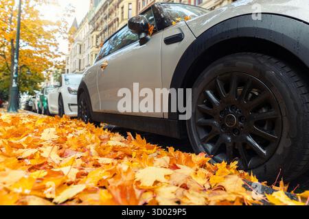 Moody, malerischer Blick auf die Frontscheinwerfer modernes graues Auto Windschutzscheibe bedeckt goldene gelbe gefallene Blätter geparkt nasse Stadt Straße Herbst regnerischer Tag. Bewölkt Stockfoto