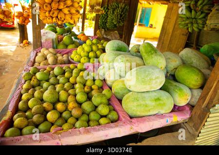 Obststand am Straßenrand, der Bananen und andere Früchte in Sri Lanka verkauft. Reife gelbe Kokosnüsse hängen zusammen mit dem Zweig, auf dem sie gewachsen sind. Es gibt Wassermelonen und Orangen auf der Theke Stockfoto