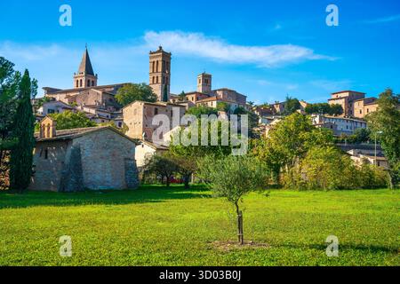 Spello mittelalterliches Dorf und Olivenbaum. Perugia, Umbrien, Italien, Europa. Stockfoto